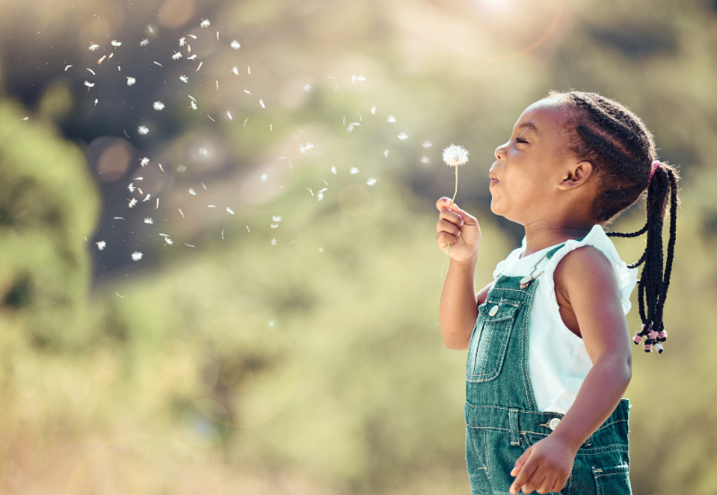 kid blowing dandelion